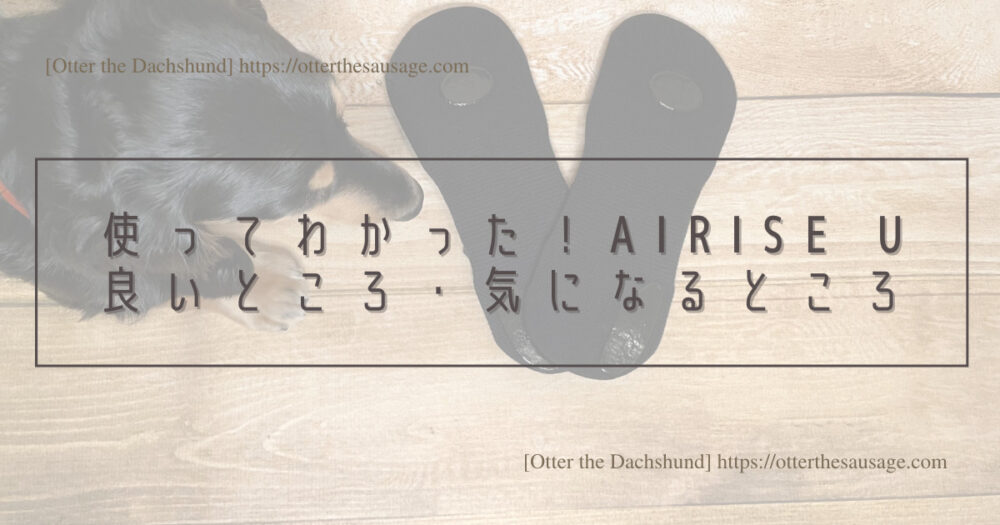Header Image_Otter the Dachshund_travel with dogs_hang out with dogs_犬旅ブログ_犬とお出かけブログ_サポートソックス_AIRISE U（エアライズU）使ってわかった！良いところ・気になるところ